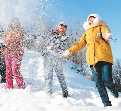 冬日·雪趣