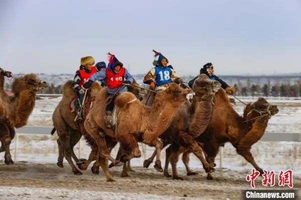 鄂温克冬季马赛-30℃极寒开赛：寒冬中的火热派对