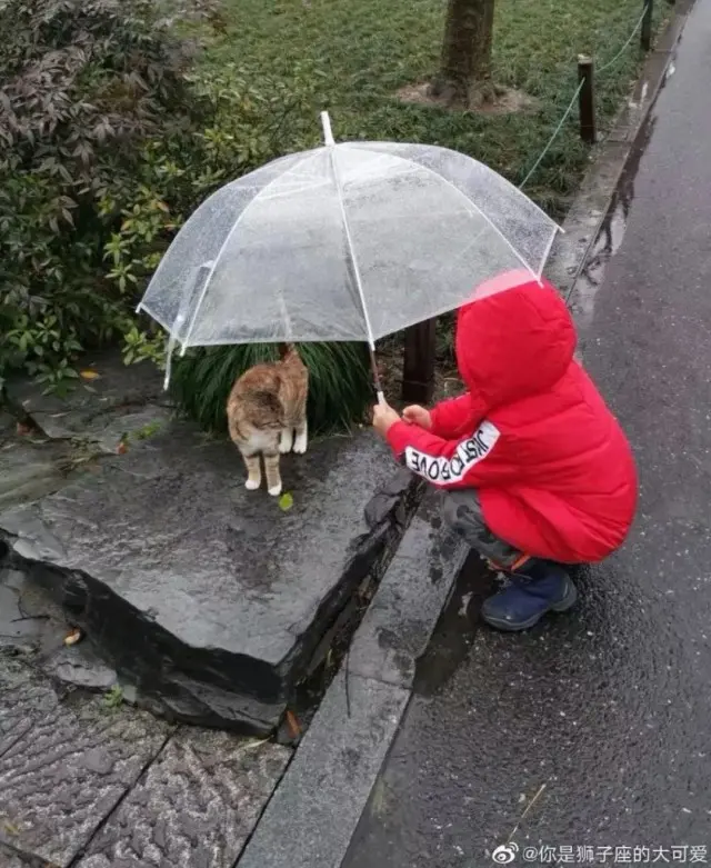 这是今年他最舍不得删的一张照片……