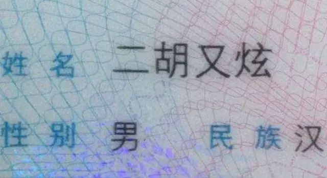 爸爸姓“考”，给双胞胎儿子取了个“学霸名”，全家人拍手叫好