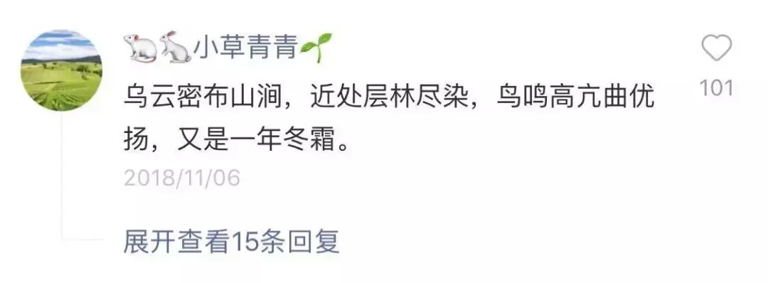 痛惜！30岁“冰川王”疑在探险时坠亡！曾徒步拍摄70多座冰川，呼吁关注气候变暖问题