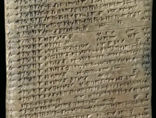 数字时代的信息触手可及，我们却记不住任何知识