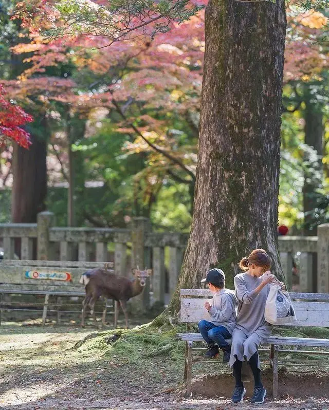 偷拍儿子7年，日本老爸把“丑照”做成了结婚礼物：你哭得好丑，但我好喜欢