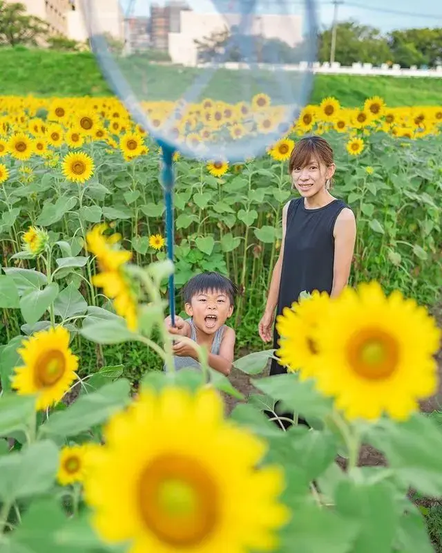 偷拍儿子7年，日本老爸把“丑照”做成了结婚礼物：你哭得好丑，但我好喜欢