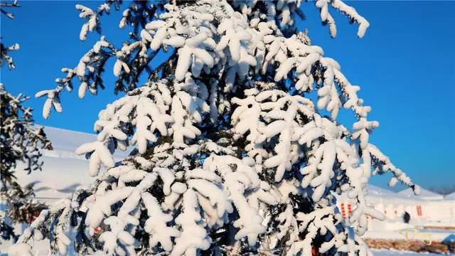 冬季长春雪里屯的“雪乡”，还你一个物美价廉如梦如幻的童话王国