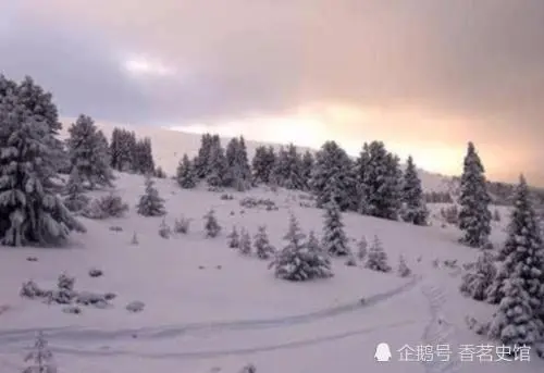 六月飘雪、七月霜冻，被称为“无夏之年”的1816年到底有多冷