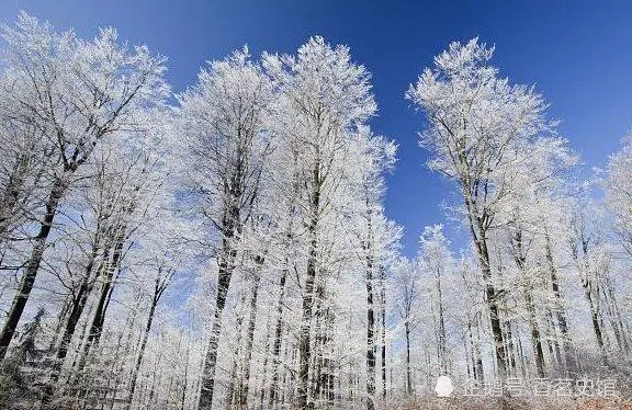 六月飘雪、七月霜冻，被称为“无夏之年”的1816年到底有多冷