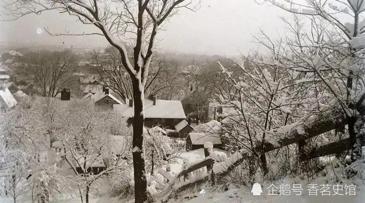 六月飘雪、七月霜冻，被称为“无夏之年”的1816年到底有多冷