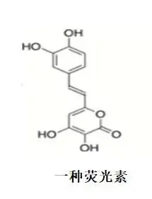 电力之外的五彩夜晚