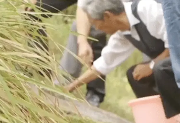 西藏特大发现，山壁上刻有失传多年的惊人历史，专家：传说是真的！