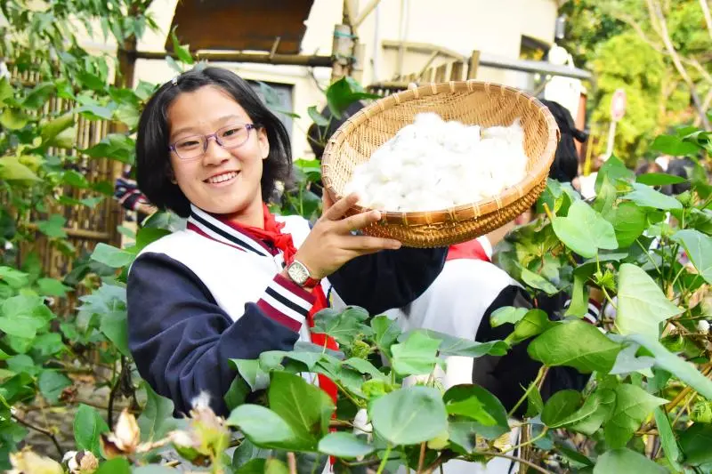 这所中学的学生不仅会种棉花还能纺棉线，“园南发现”用英语讲好非遗文化