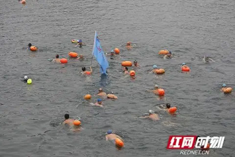 300餘名 “冬泳健兒”暢遊湘江齊祝賀毛澤東誕辰日