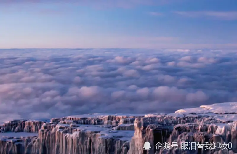 12月下旬开始，吉星高照，财气扶摇而上，顺风顺水的生肖