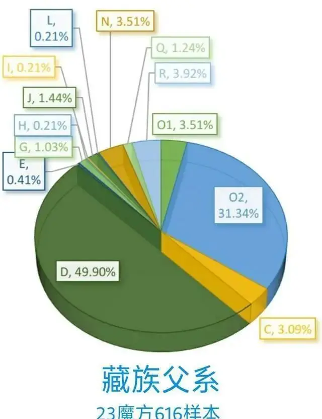 中国主要民族的DNA比例分析：从基因角度来看民族融合的情况