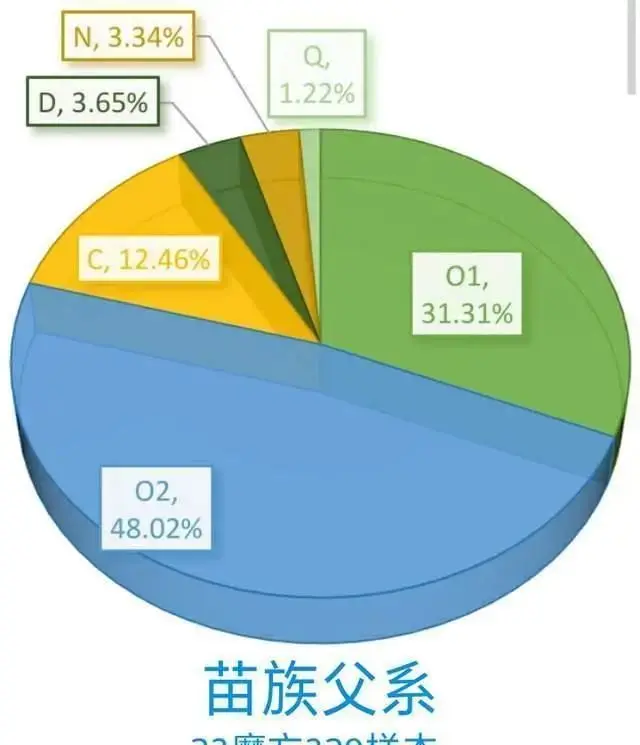 中国主要民族的DNA比例分析：从基因角度来看民族融合的情况