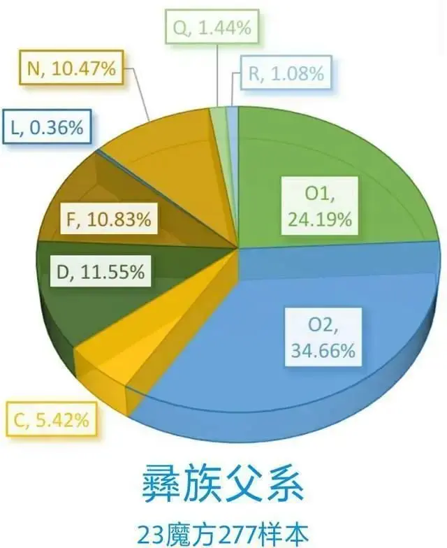 中国主要民族的DNA比例分析：从基因角度来看民族融合的情况