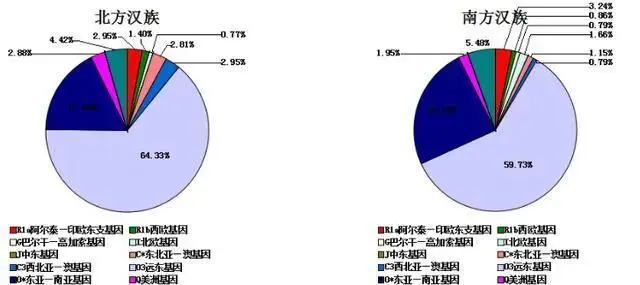 中国主要民族的DNA比例分析：从基因角度来看民族融合的情况