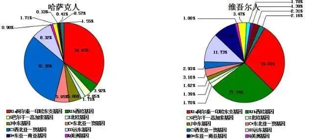 中国主要民族的DNA比例分析：从基因角度来看民族融合的情况