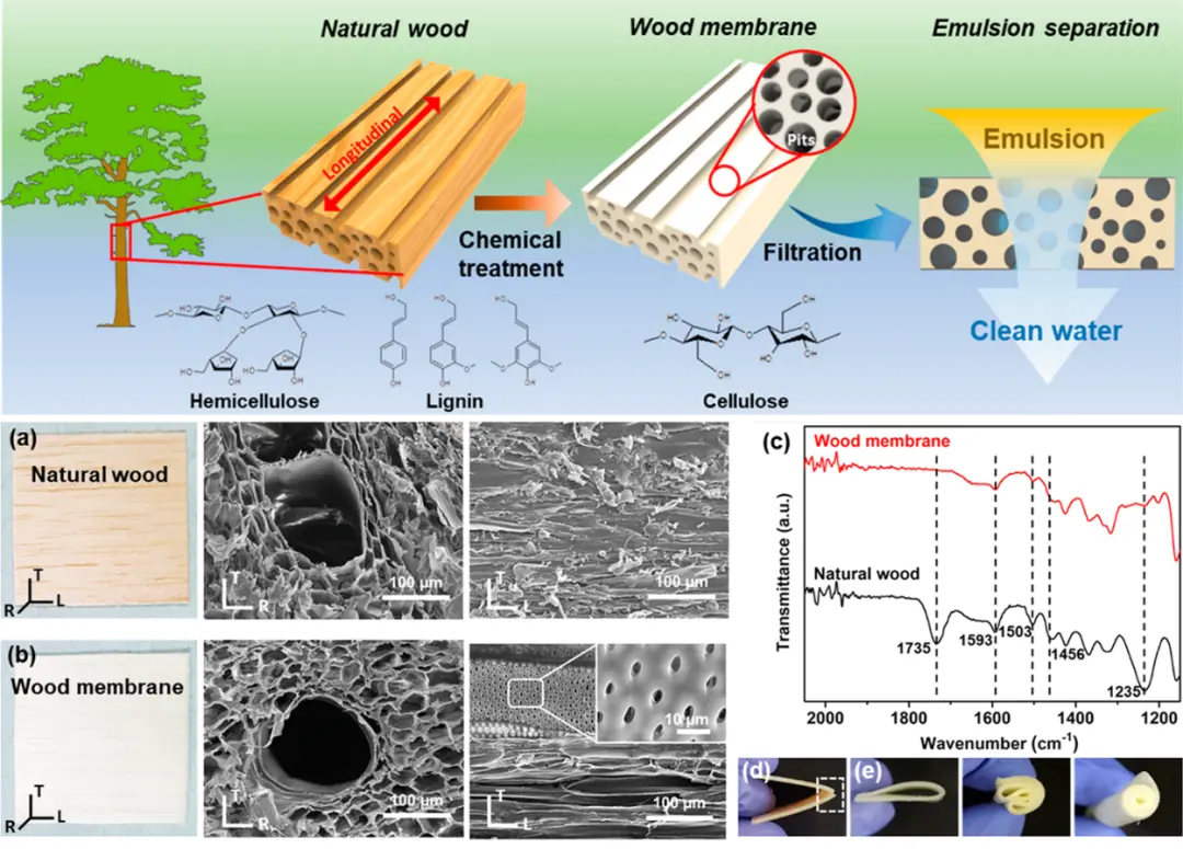 异想天开？木头提纯地沟油！《ACS Nano》：可用于乳液分离的绿色木膜
