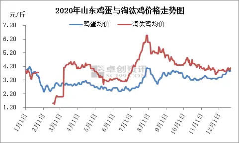 库存压力不大 节前山东蛋价难跌