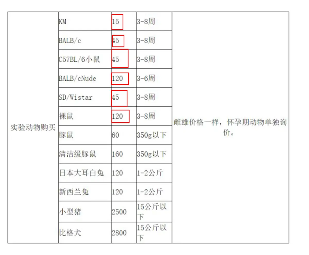 猎奇：如果有一天，老鼠突然灭绝了，会带来哪些不可逆的后果？