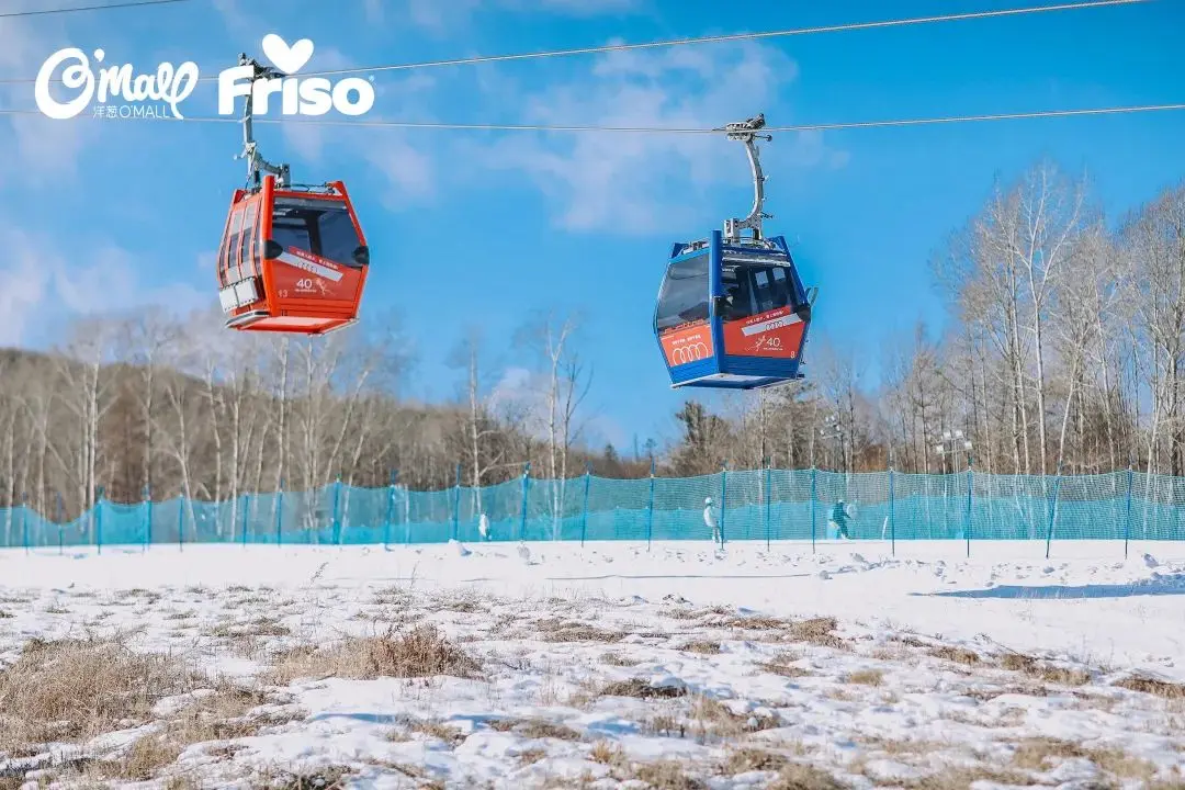 洋葱O"MALL×Friso美素佳儿｜乘风踏雪，皇家臻享之旅