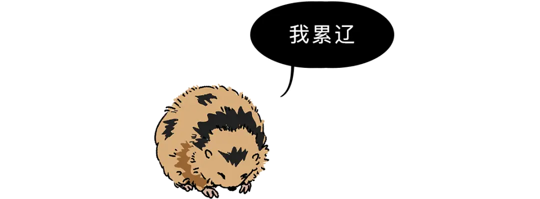 你小时候听的励志故事有多扯淡？