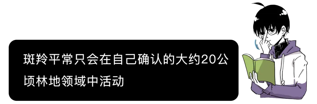 你小时候听的励志故事有多扯淡？