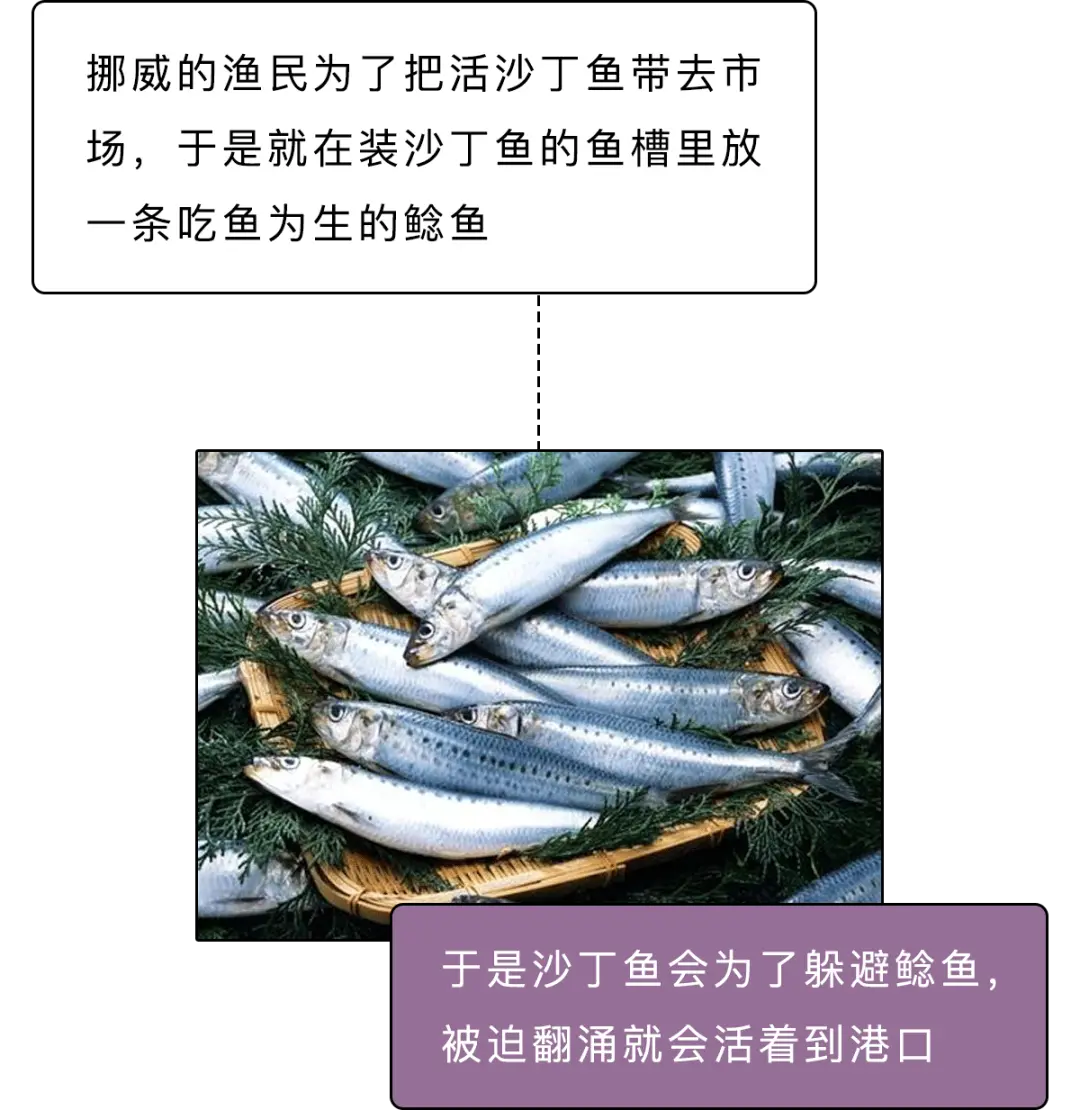 你小时候听的励志故事有多扯淡？