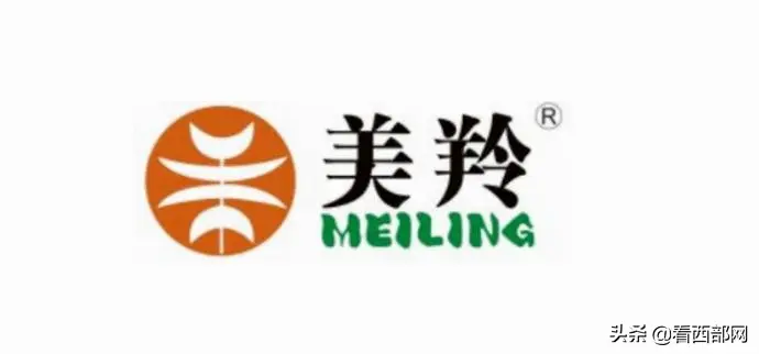 红星美羚因涉及对经销商借款，斥300万资金刷单等问题再遭问询