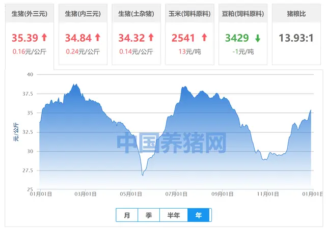 猪价连爆，一头猪能赚2000元，一大批养猪人被“专家”坑了