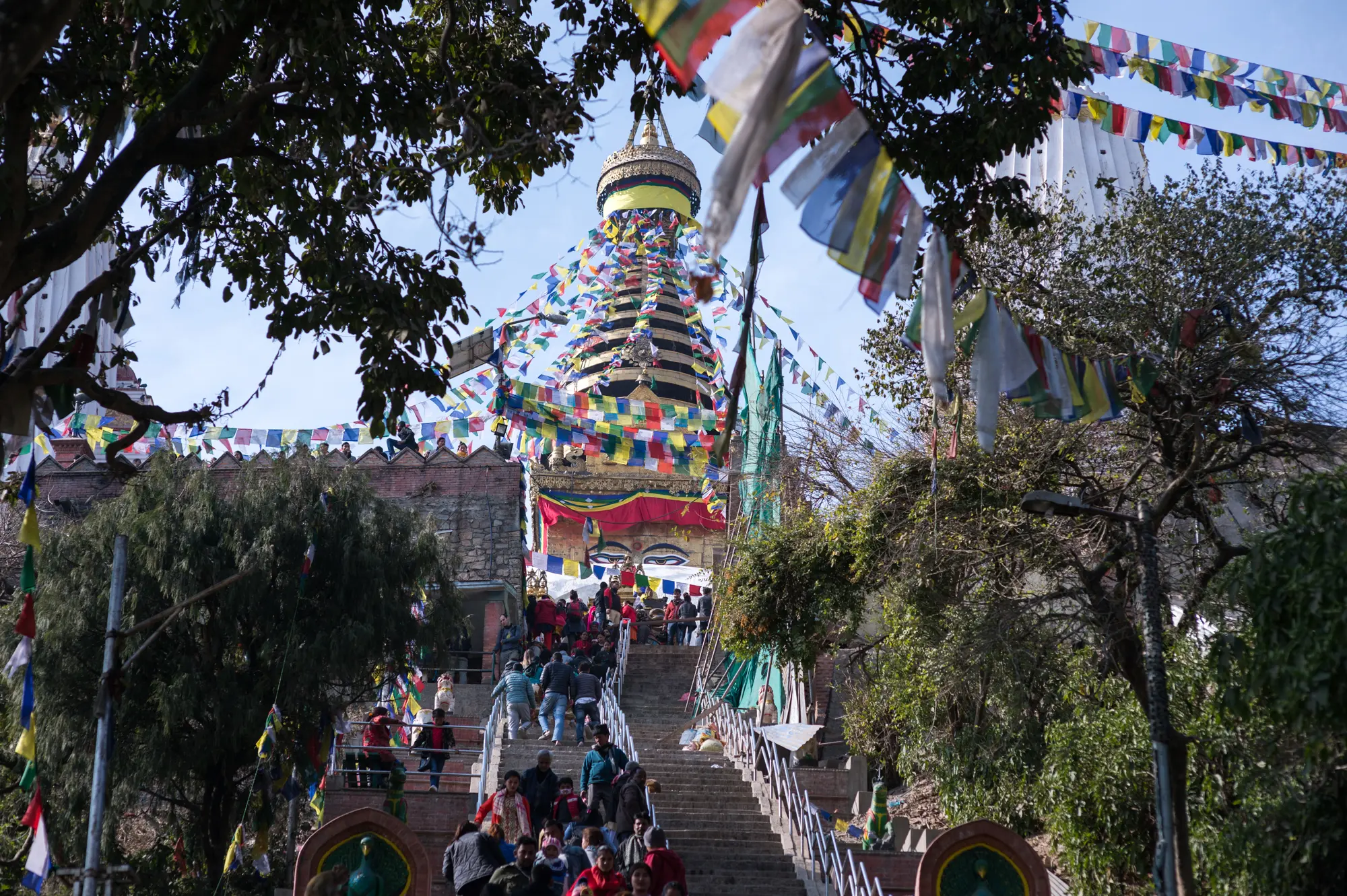 尼泊尔有一座寺庙，是亚洲最古老的庙宇，因猴子太多而被称为猴庙