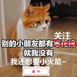 两只橘猫的爱情故事：你救我一命，我便用一生相随……