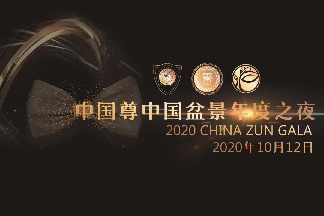 我的打分是这样来的——2020中国尊首席大奖评委张旭明打分全记录