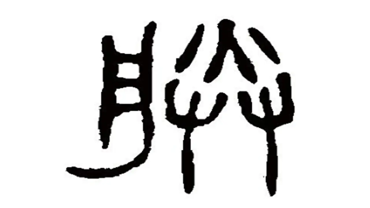 秦始皇为何要将“寡人”改为“朕”？专家：把朕字拆开，你就懂了