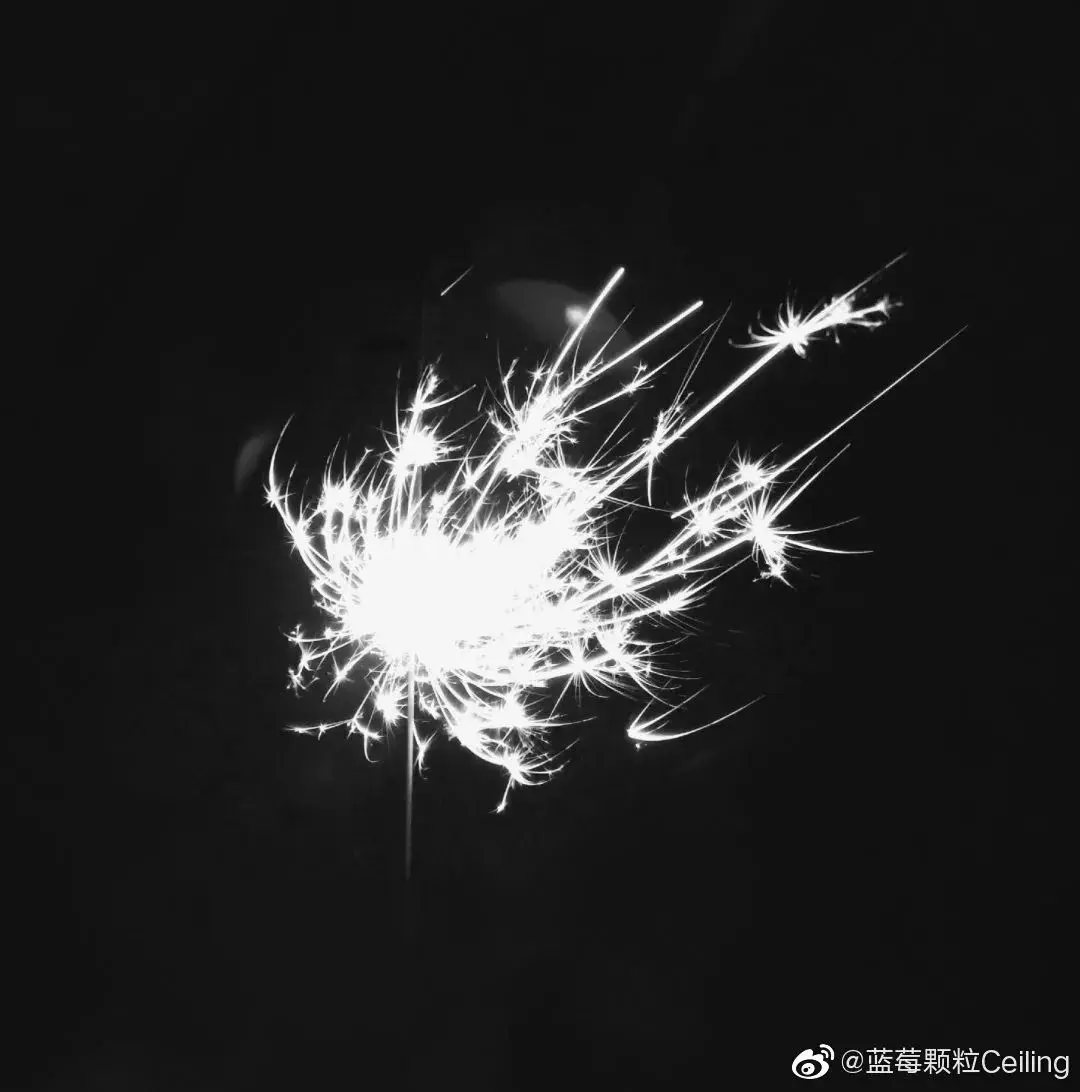 这是今年他最舍不得删的一张照片…