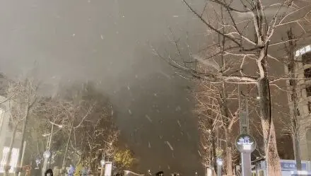 杭州全城雪花飄飄！這裡雪都這麼厚了！西湖邊遊客扎堆，姑娘驚呼“好幸福”