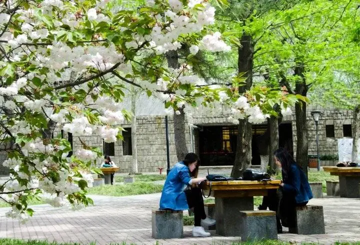 为曲园学子加油！风雨考研路，我们都是追梦人