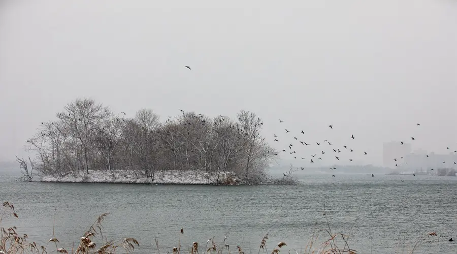 南湖听雪 落地成诗