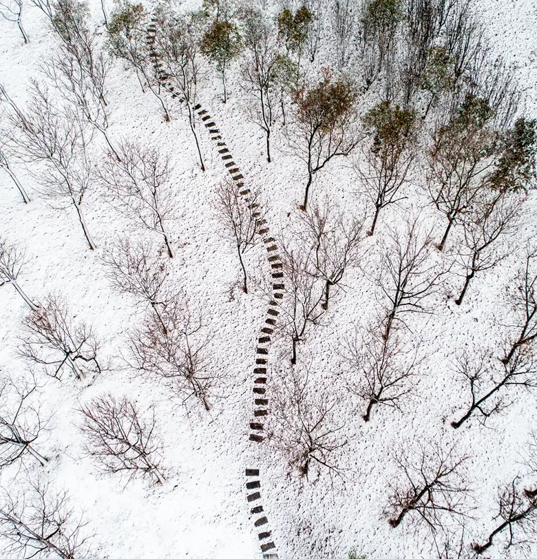 南湖听雪 落地成诗