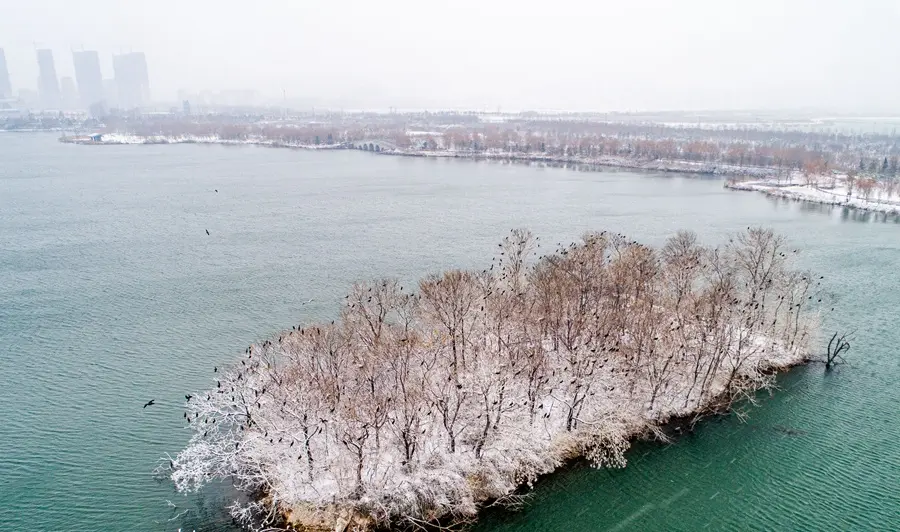 南湖听雪 落地成诗