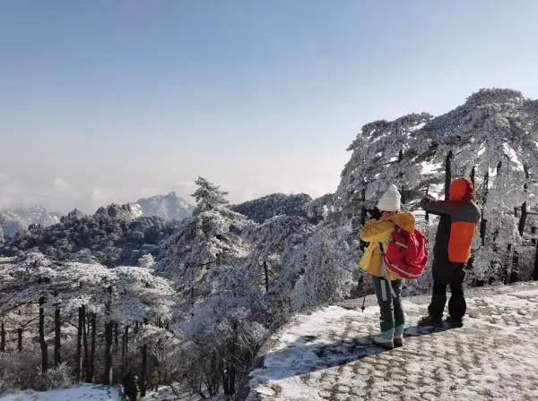 一下雪，黄山就美成了仙境