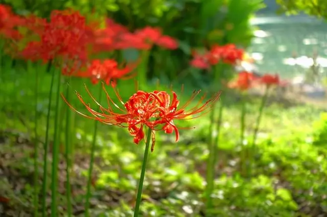 你的善良，要有点锋芒