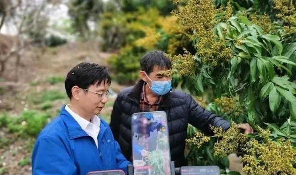 又一暴利行业诞生：马云看好，董明珠亲自参与，不少人年入千万