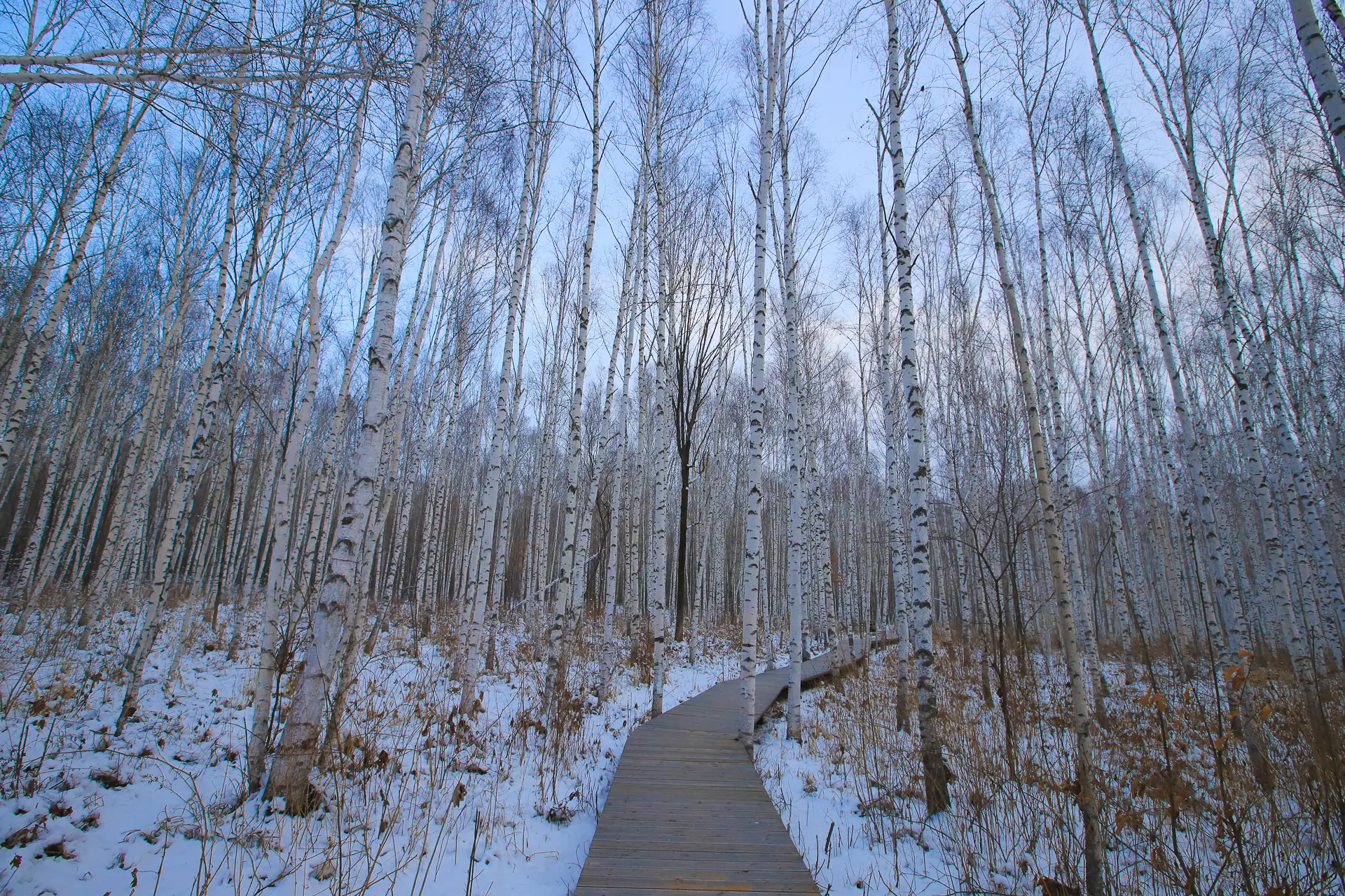 在长白山零下20度漂流是怎么感受？犹如走入梦幻的冰雪童话世界