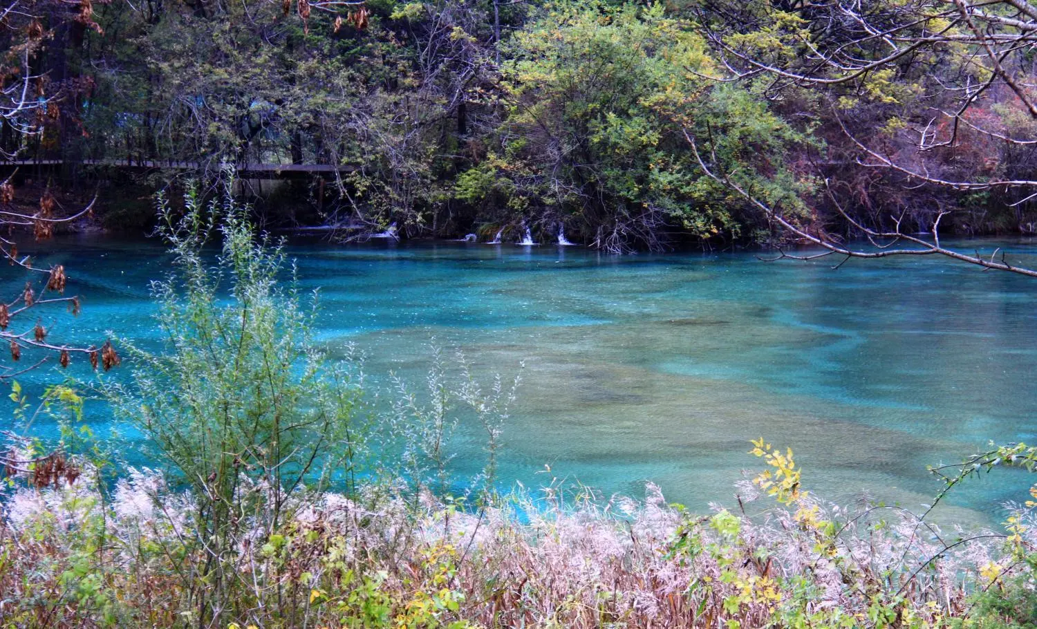 这个地方叫九寨沟，请永远记得它那宛如天堂般的绝世美景