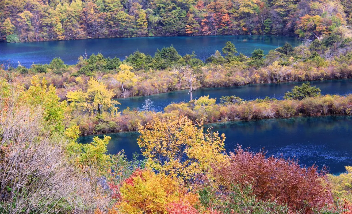 这个地方叫九寨沟，请永远记得它那宛如天堂般的绝世美景