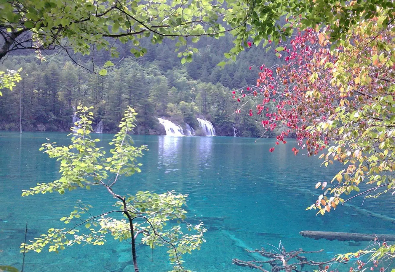 这个地方叫九寨沟，请永远记得它那宛如天堂般的绝世美景