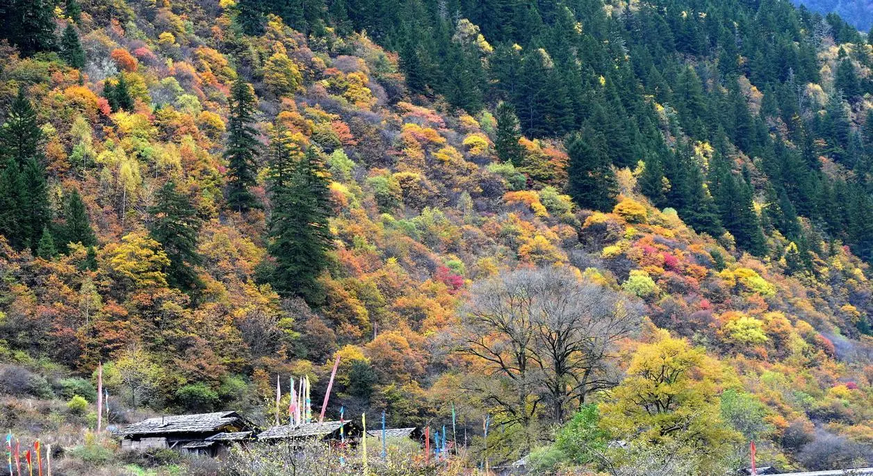 这个地方叫九寨沟，请永远记得它那宛如天堂般的绝世美景