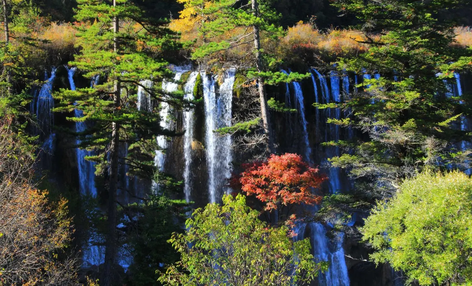 这个地方叫九寨沟，请永远记得它那宛如天堂般的绝世美景